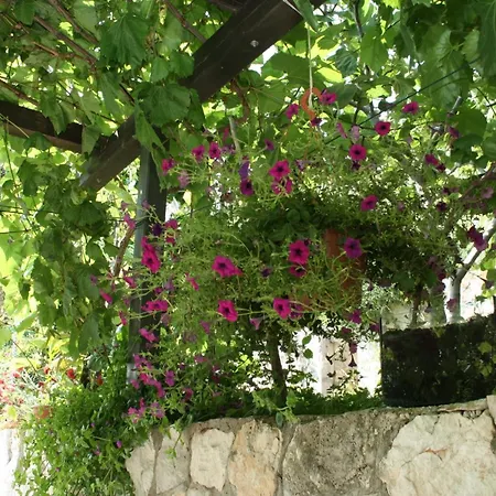 Gostinjska kuća Double 4566b 3*